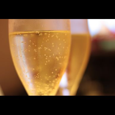 トラットリア クアトロ ラガッツィは豊富なワインを取り揃えております